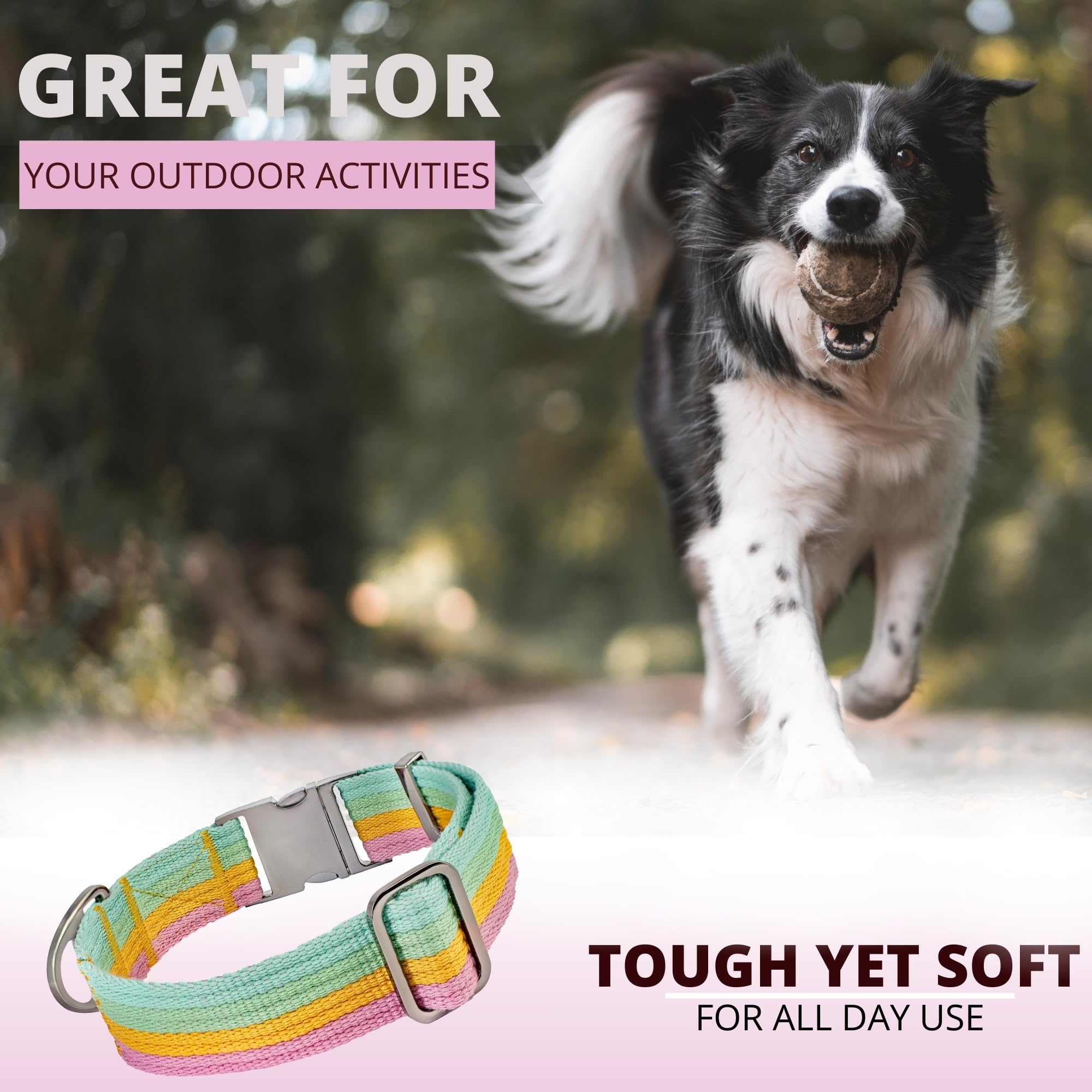 ADITYNA pastel paradise dog collar showcases stylish practical design for everyday life
