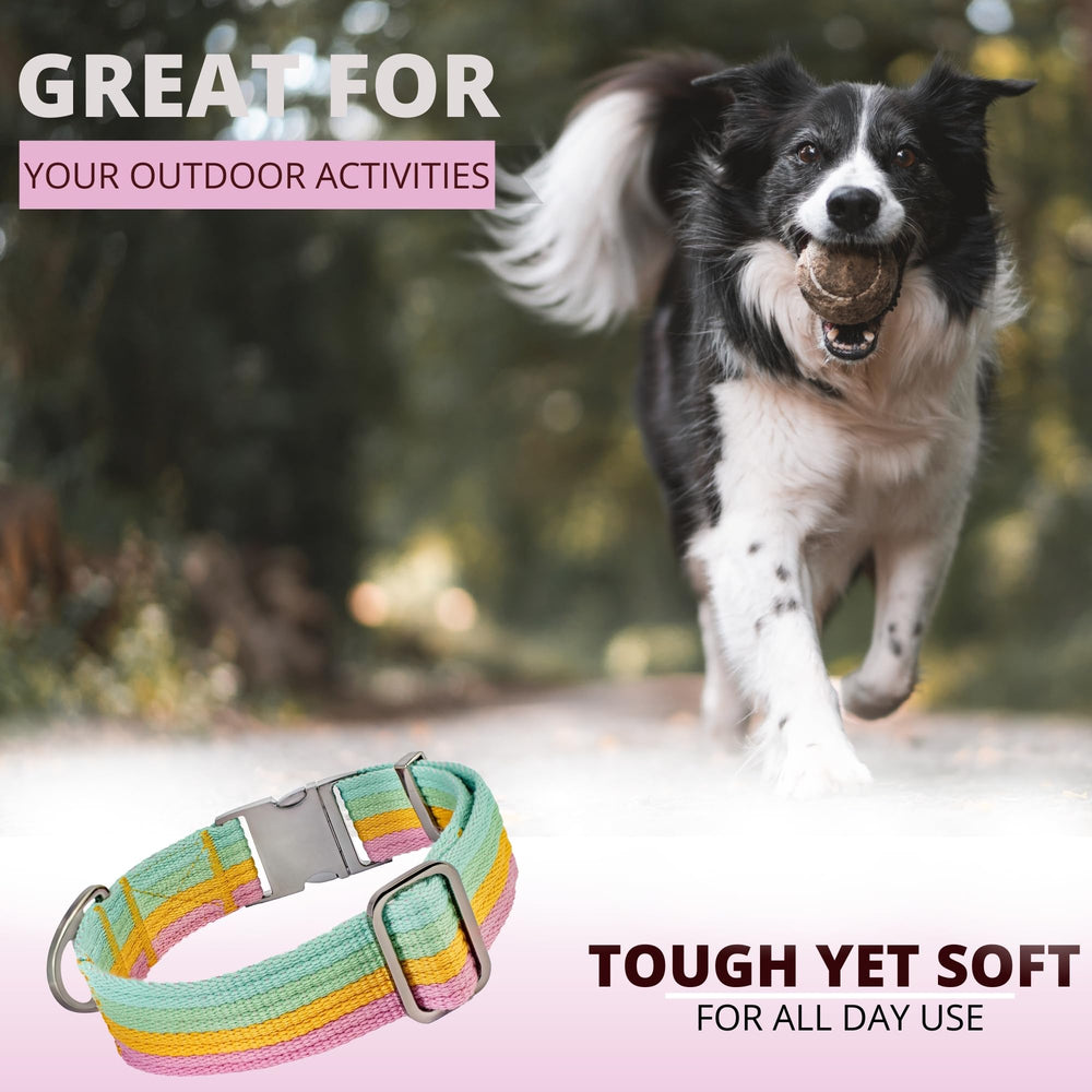 ADITYNA pastel paradise dog collar showcases stylish practical design for everyday life