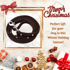 ADITYNA handmade stitching leather leash detail shows reinforced construction and longevity.