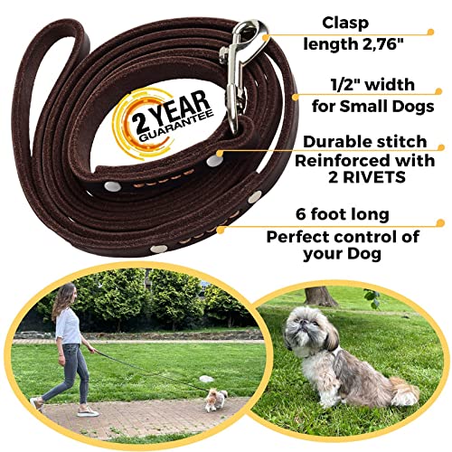ADITYNA premium leather leash 6ft showcased for small dog use and everyday training.