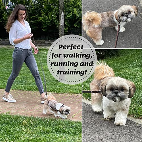 ADITYNA premium leather dog leash 6ft soft grip demonstrates comfortable control during pulls.