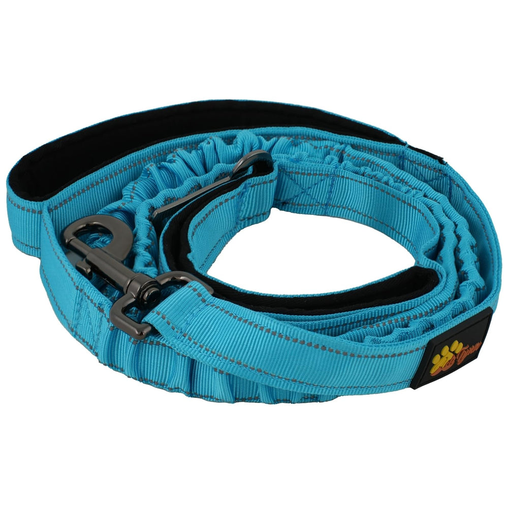 ADITYNA heavy-duty nylon leash construction for durable outdoor use