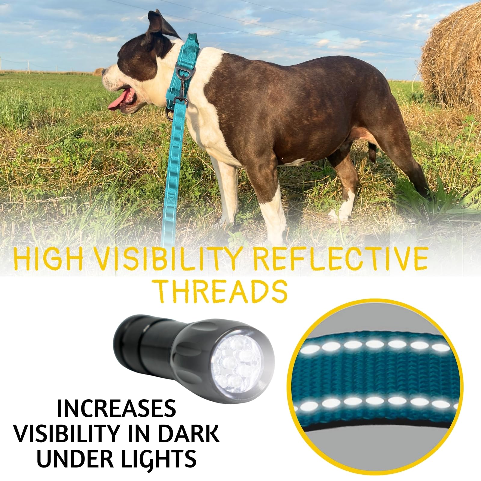 ADITYNA leash showing dual padded handles for secure control