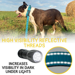 ADITYNA leash showing dual padded handles for secure control