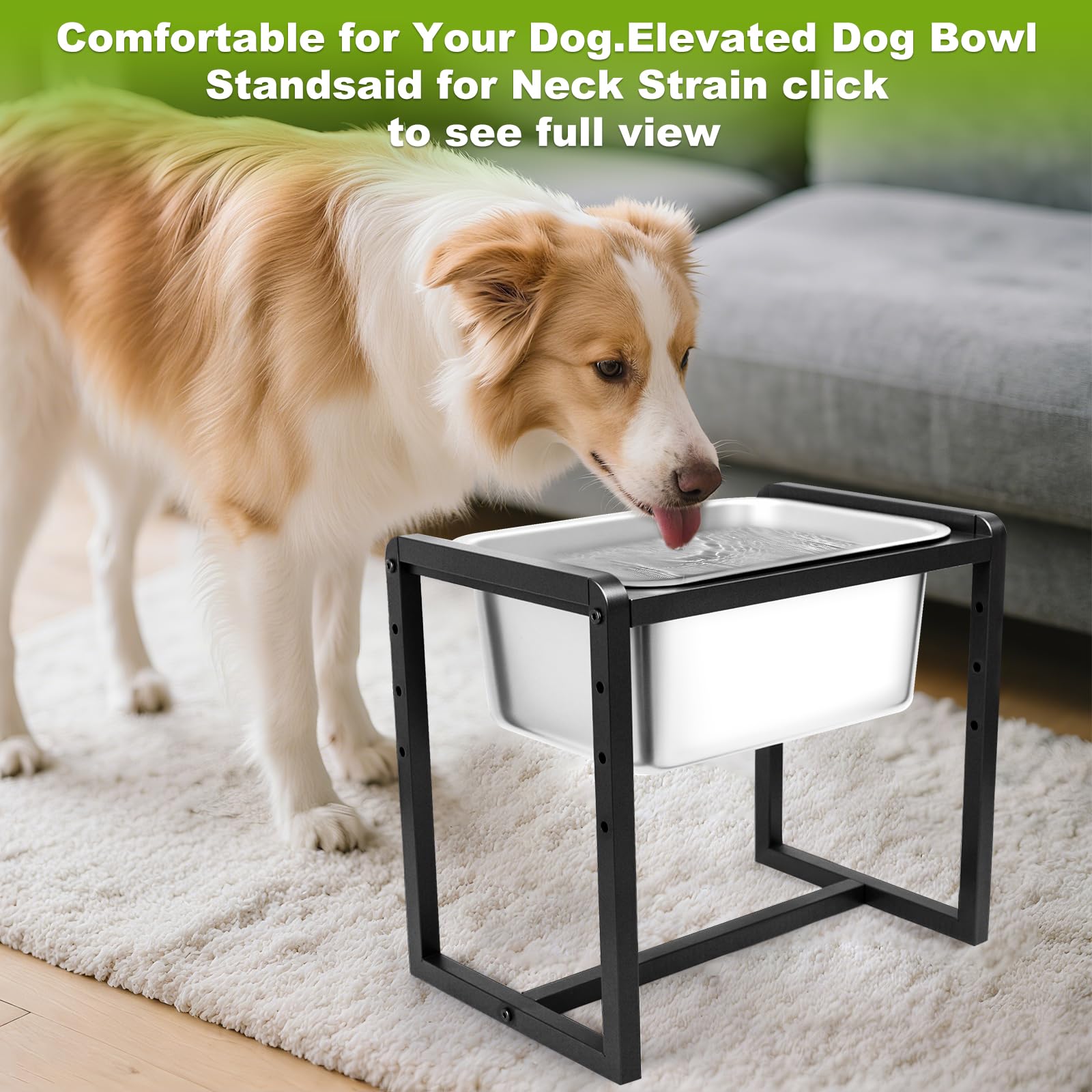 Adjustable Height Elevated Dog Water Bowl in-use shows spill-resistant, deep bowl.