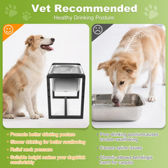 Adjustable Height Elevated Dog Water Bowl stainless bowls image emphasizes easy-clean brushed steel.