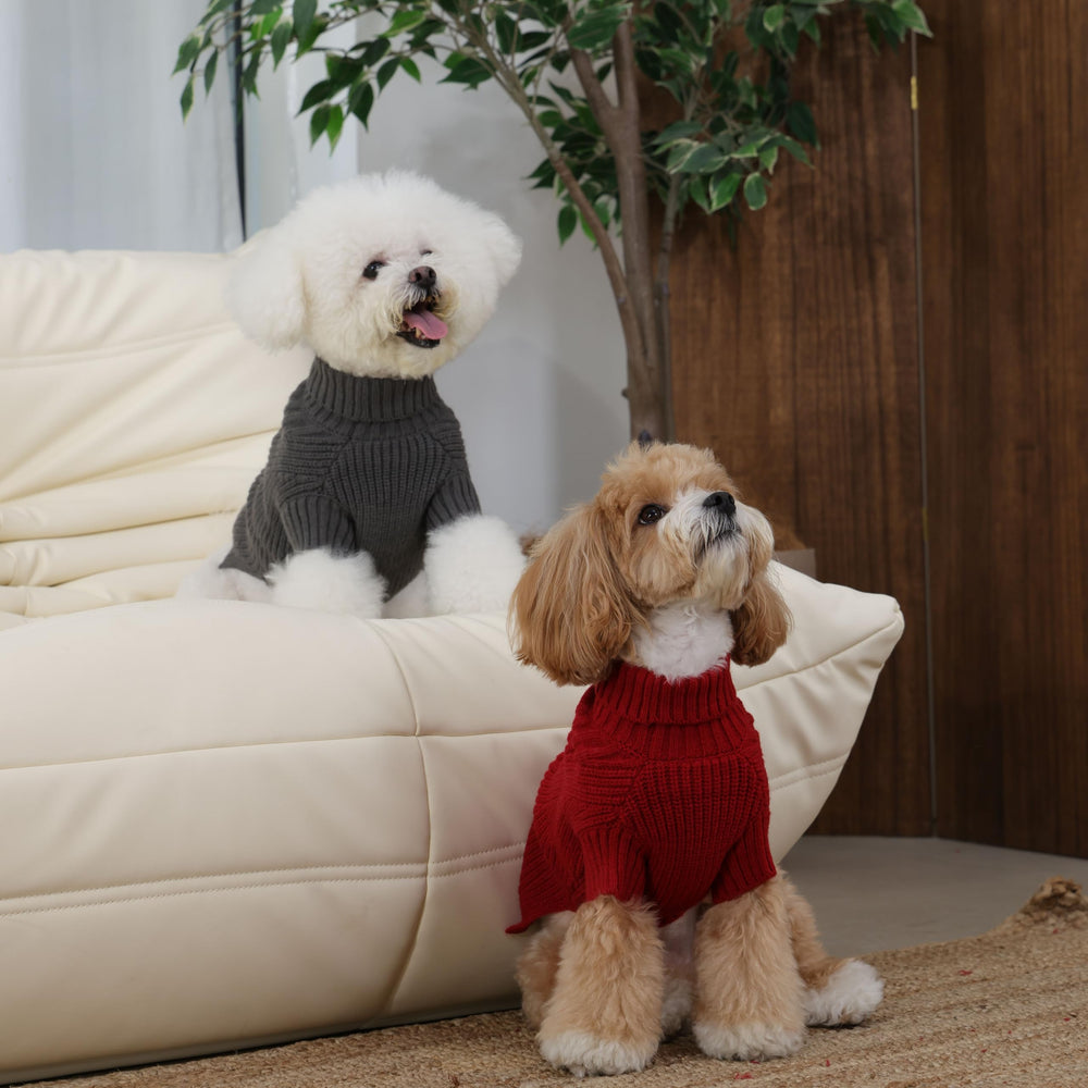 ADNIKIA dog medium sweater sleeves and stretch knit for flexible movement