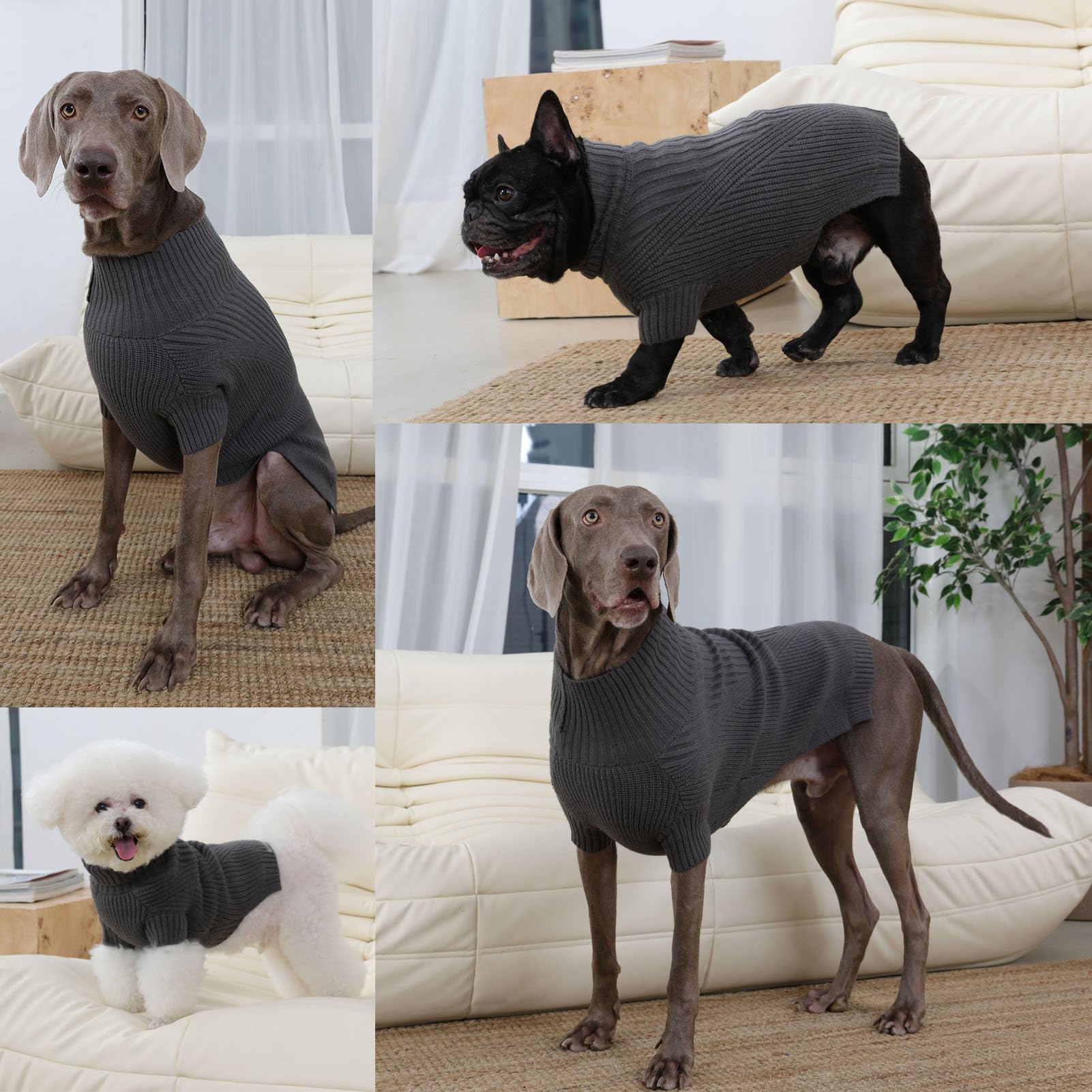 ADNIKIA dog medium sweater worn during outdoor winter walk