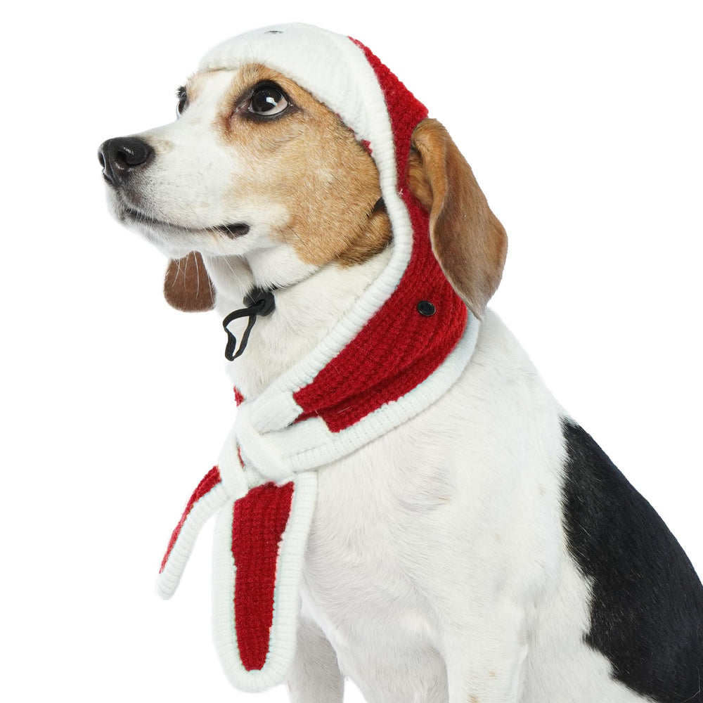 ADNIKIA dog winter pilot hat with ear flaps keeps your pup warm and protected on chilly walks.