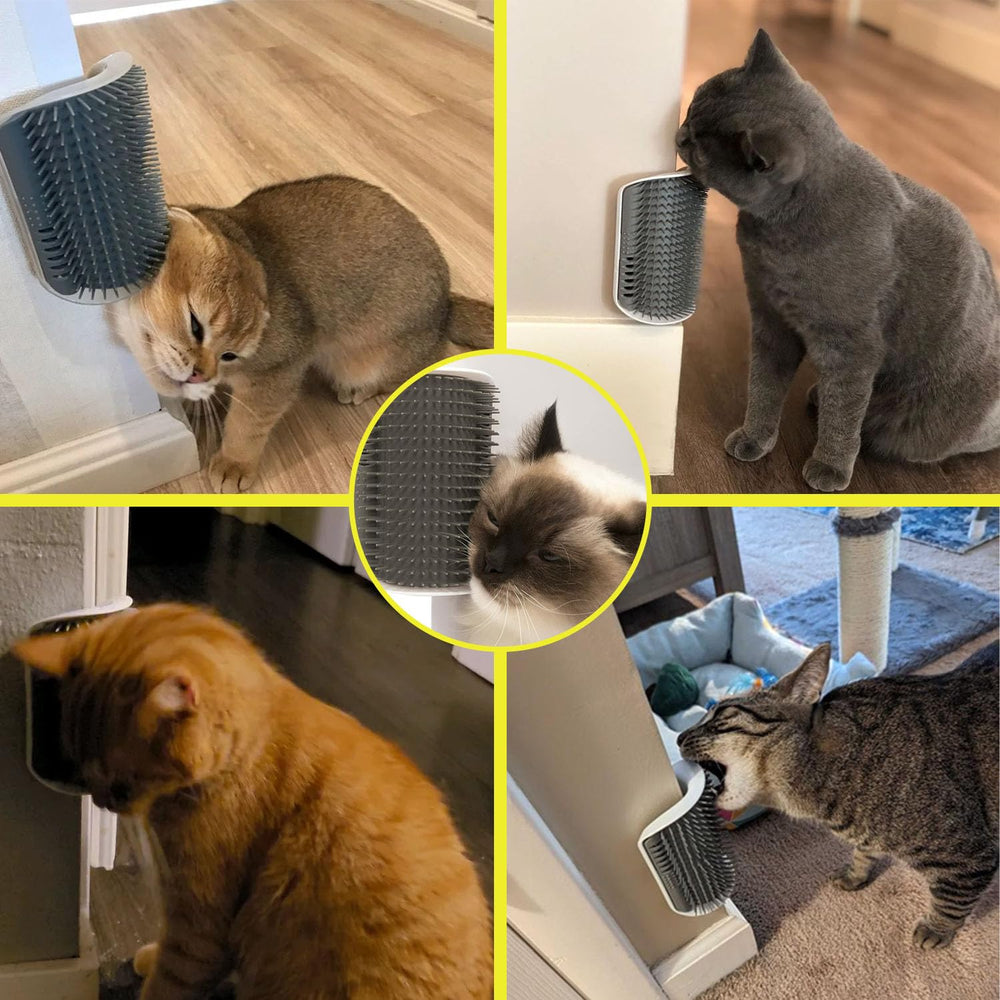 AdoPet small-cat indoor use illustrating accessible grooming in indoor spaces.