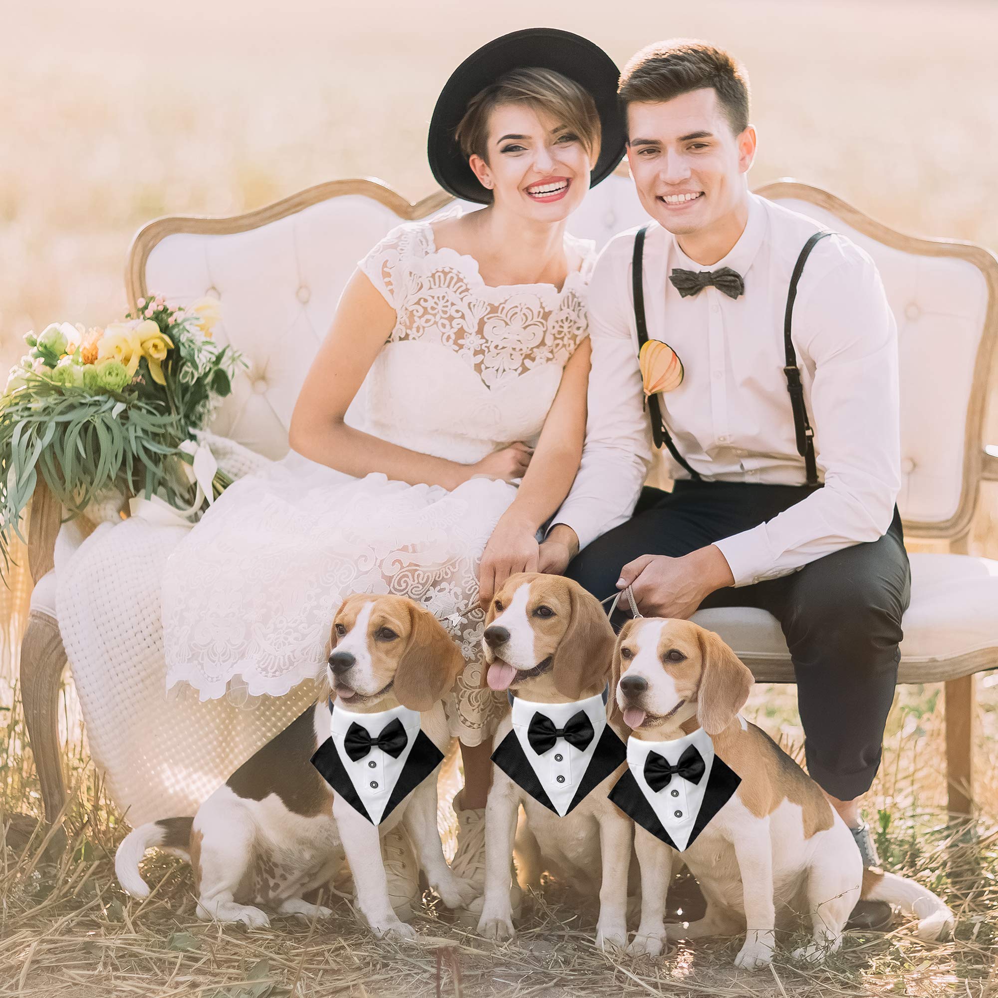 ADOGGYGO adjustable bowtie collar adapts to your dog's neck for total comfort.