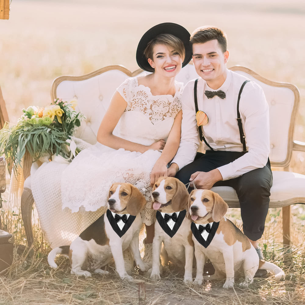 ADOGGYGO adjustable dog tuxedo strap showcases comfortable fit for mid-sized dogs.