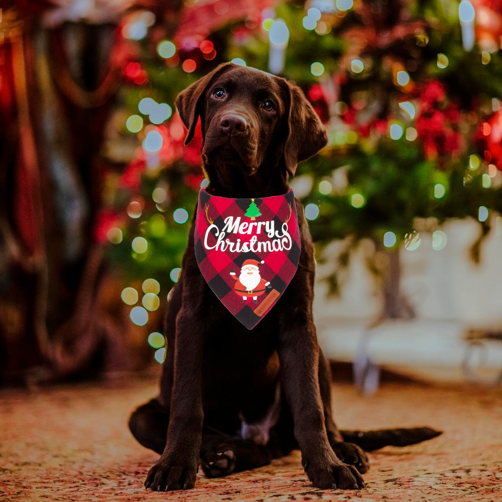 ADOGGYGO bandana navidad en cuadros verde, perfecta para sesiones de fotos