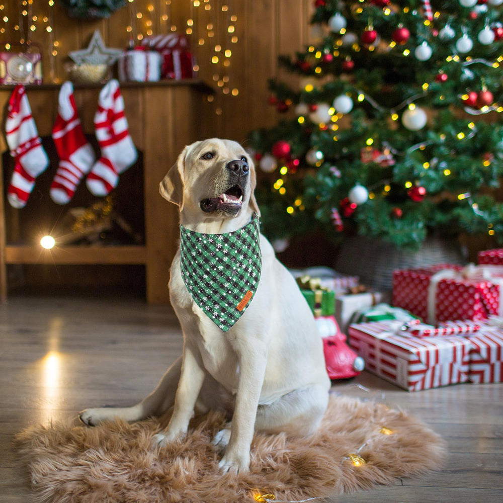 ADOGGYGO dog bandana close-up stitching highlights durable two-layer fabric.