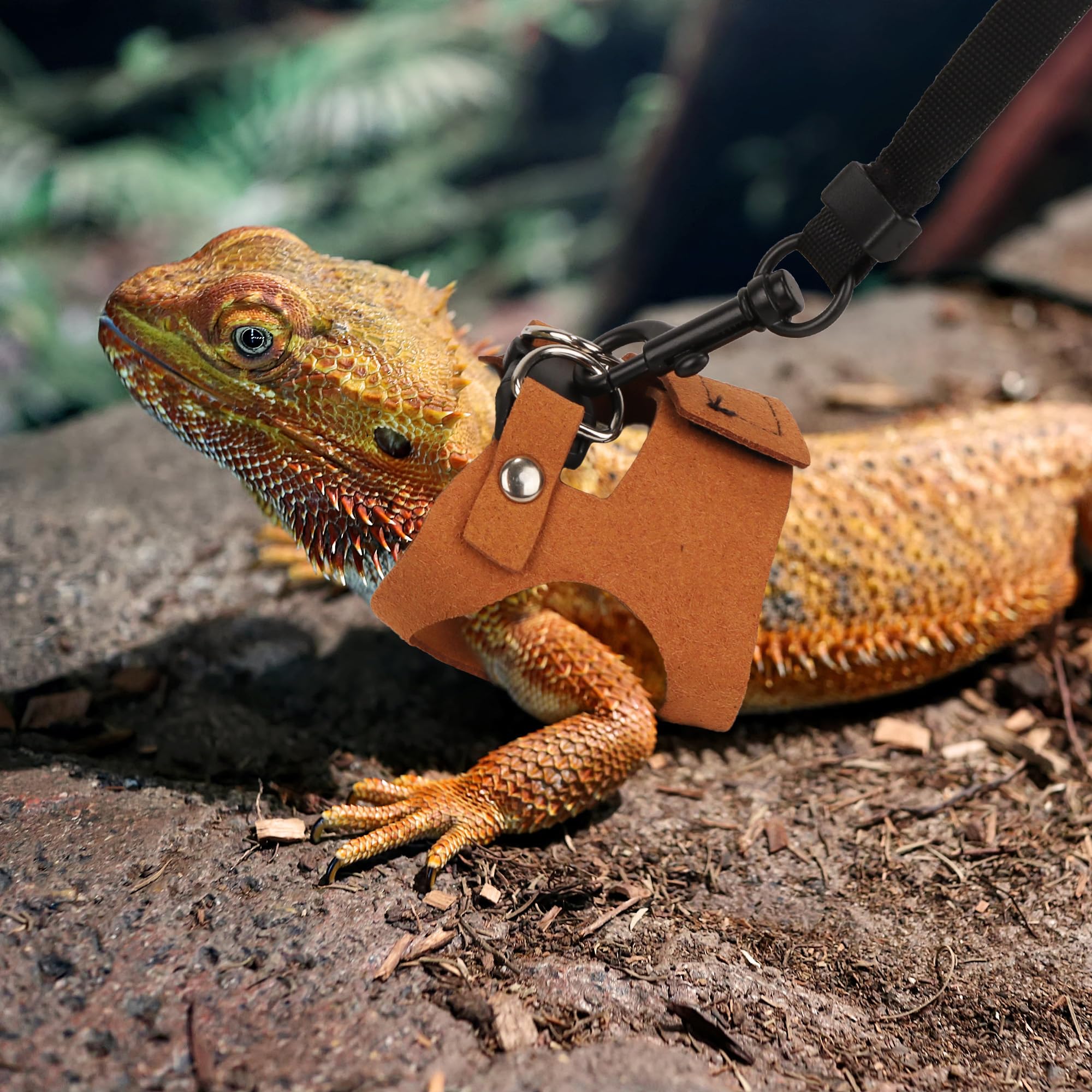 ADOGGYGO Bearded Dragon Harness brown leash 6.5ft demonstrates secure control during exploring.