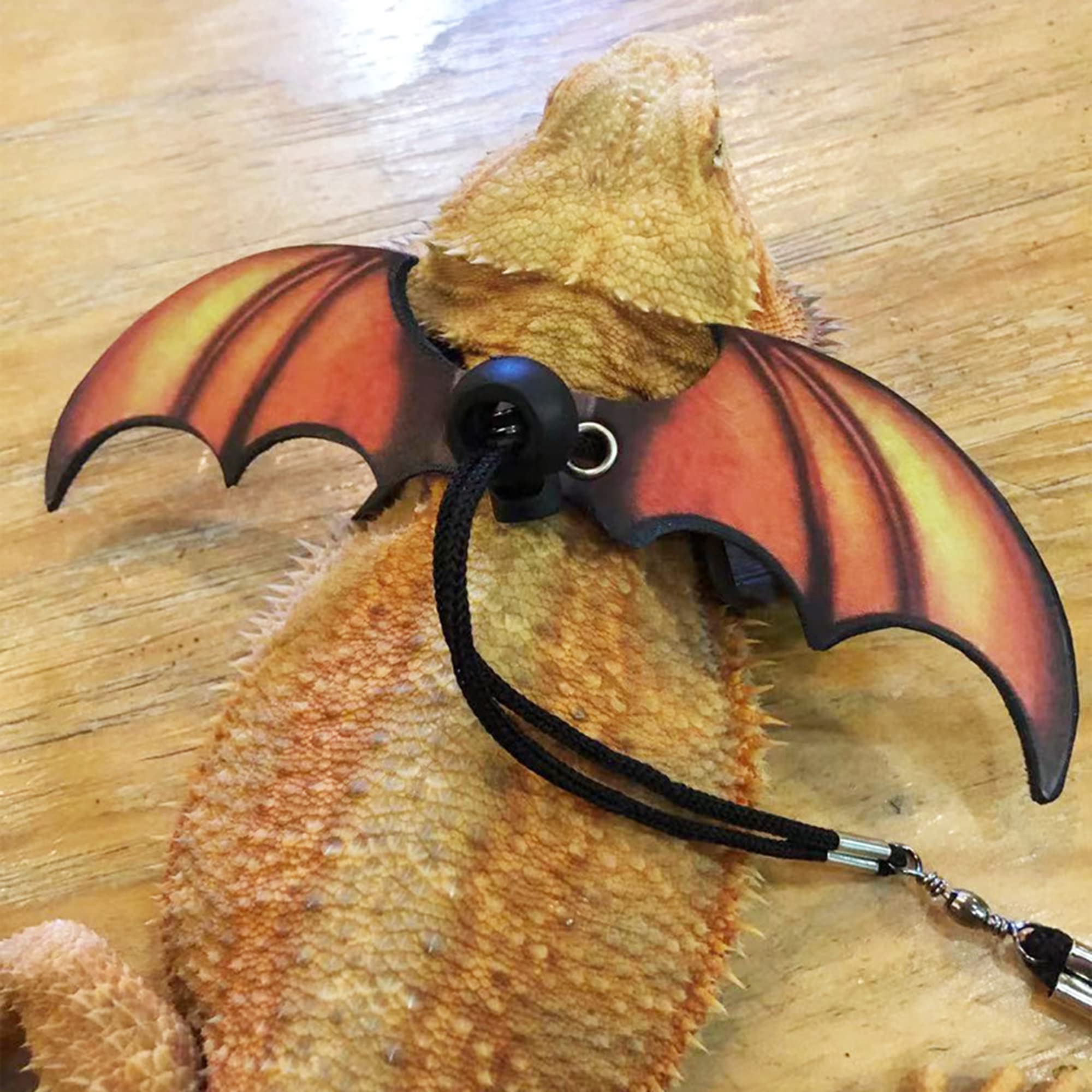 ADOGGYGO bearded dragon leash assembly showcases secure fit for stepping outside.