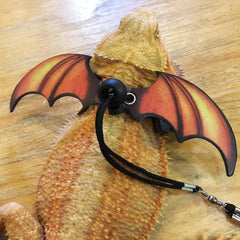 ADOGGYGO bearded dragon leash assembly showcases secure fit for stepping outside.