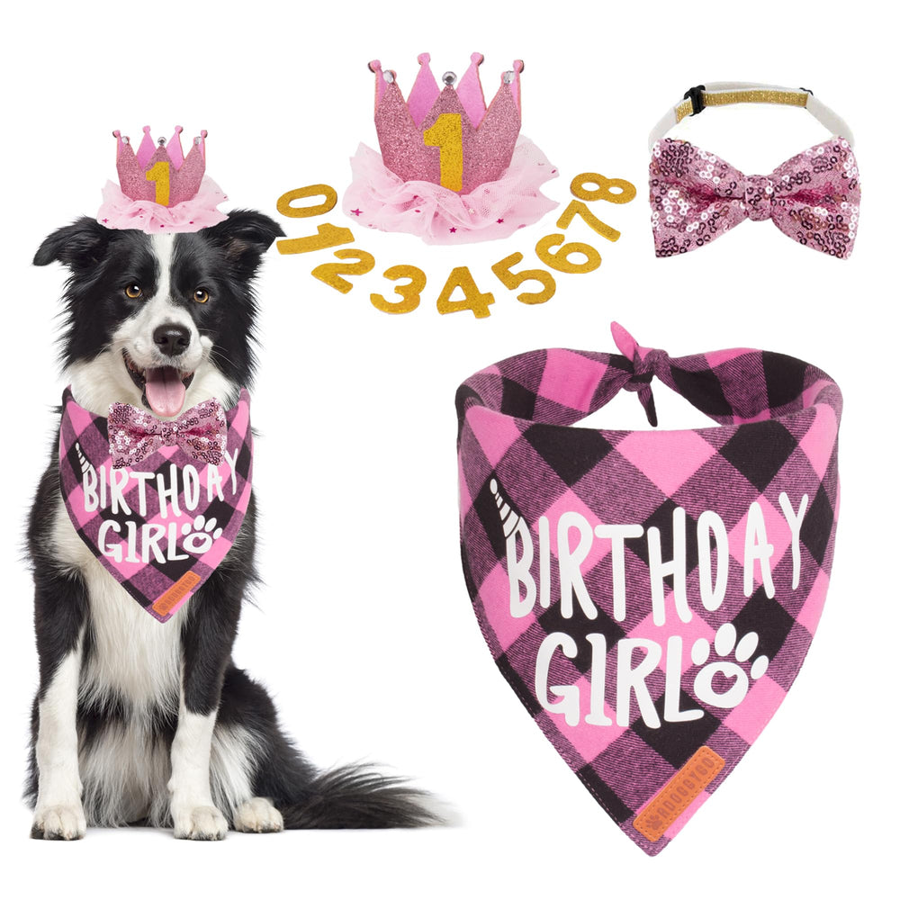 ADOGGYGO pink birthday hat crown on dog for festive photo moments.