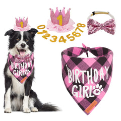ADOGGYGO pink birthday hat crown on dog for festive photo moments.