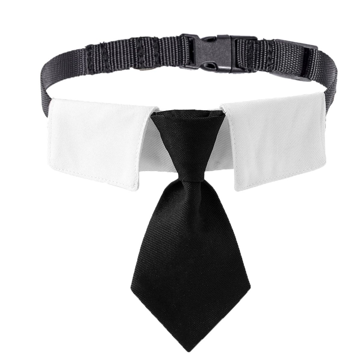 ADOGGYGO black necktie dog collar on small dog for wedding-ready elegance.