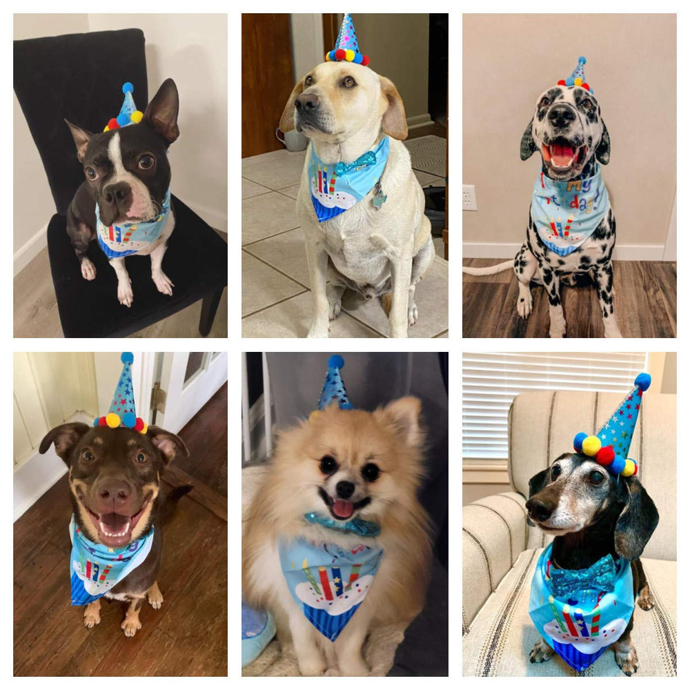 ADOGGYGO blue boy birthday hat—colorful headwear adds festive charm.