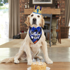 ADOGGYGO blue plaid dog bandana for a stylish Birthday Boy look