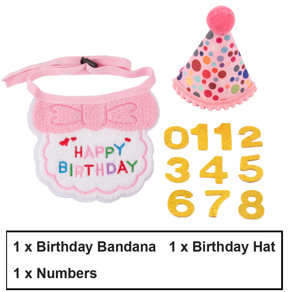 ADOGGYGO cat birthday hat with elastic rope for easy wear.