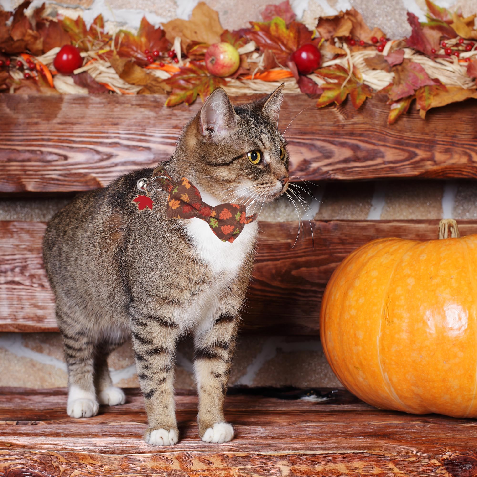 ADOGGYGO cat collar brown green maple leaves pattern enhances fall style