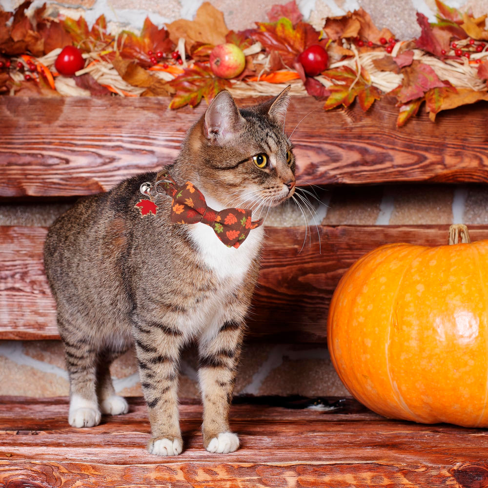 ADOGGYGO cat collar brown green maple leaves pattern enhances fall style