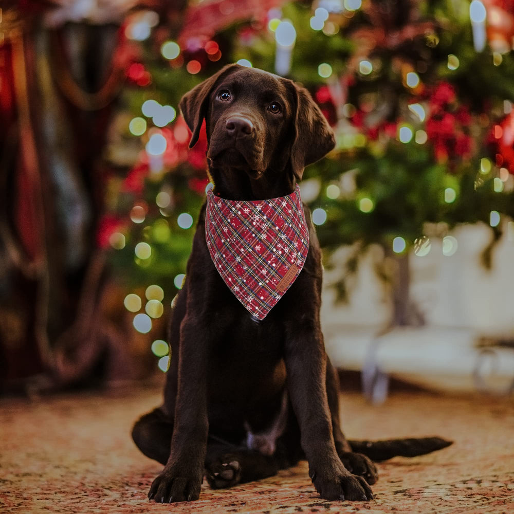 ADOGGYGO green plaid bandana on dog shows durable, breathable fabric for everyday wear.