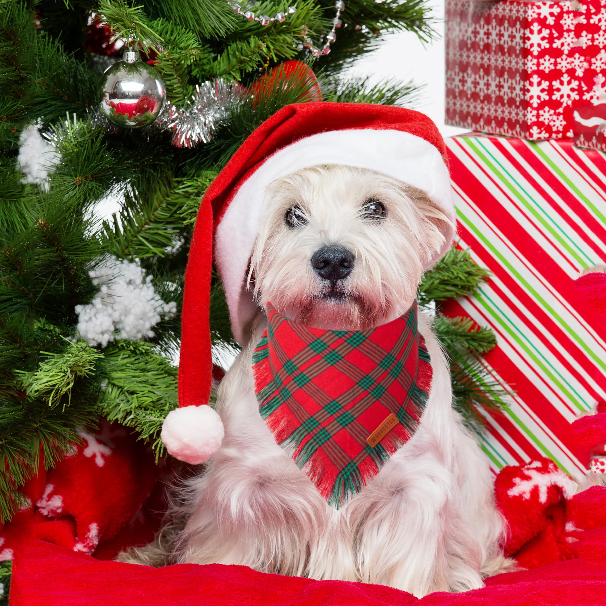 ADOGGYGO Christmas bandana with tassels in green plaid for holiday wear.