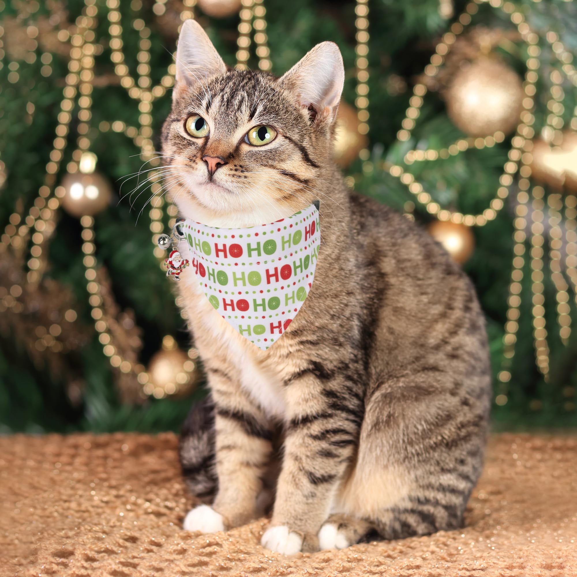 ADOGGYGO collar with bandana front view showcasing festive pattern for holiday photo moments