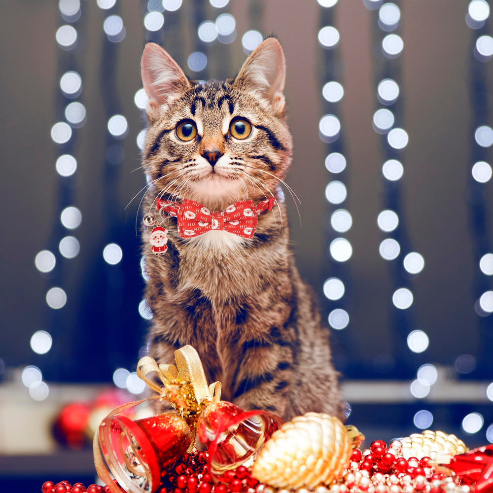 ADOGGYGO green deer pattern collar adds festive charm while keeping cats comfortable.