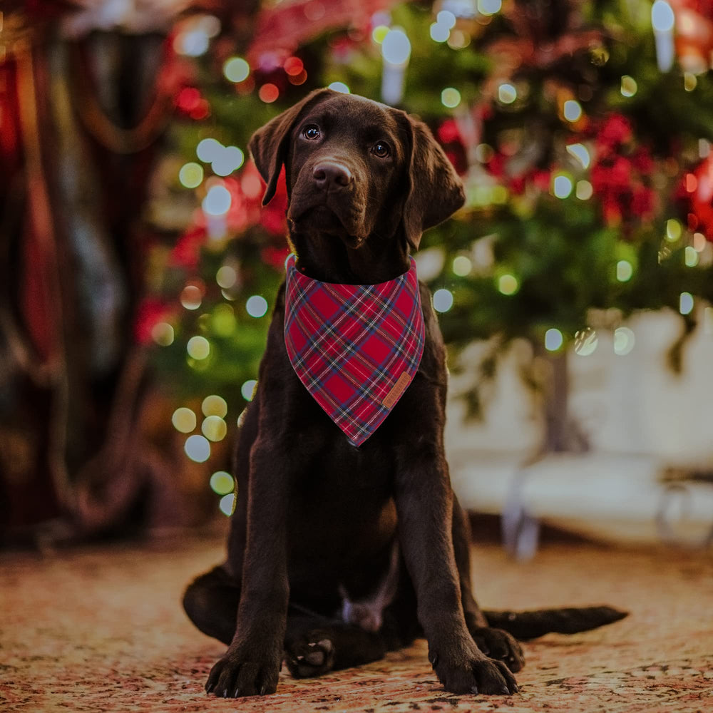 ADOGGYGO Christmas dog bandana in green plaid worn on a dog for holiday style