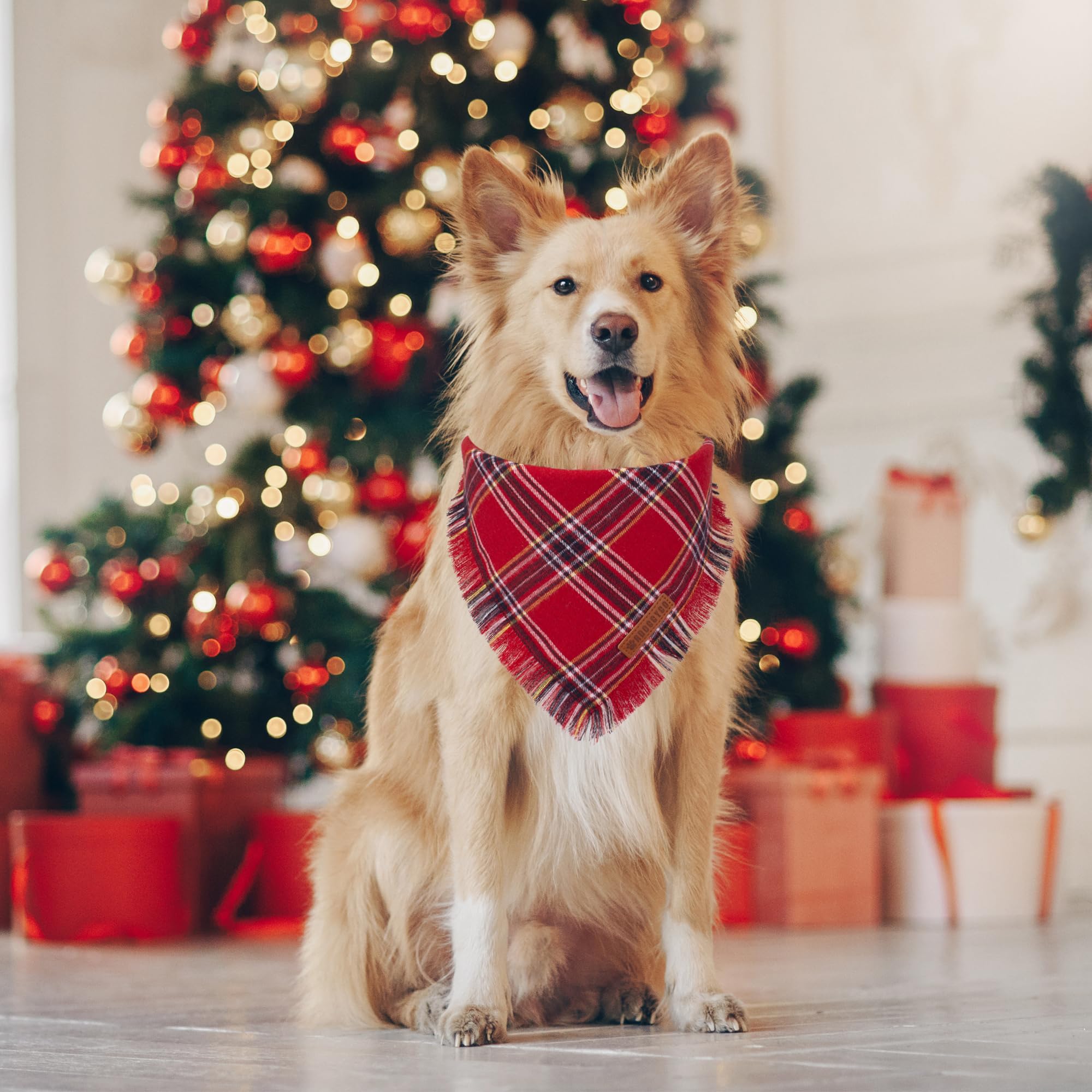 ADOGGYGO green plaid dog bandana with tassels for seasonal photos.