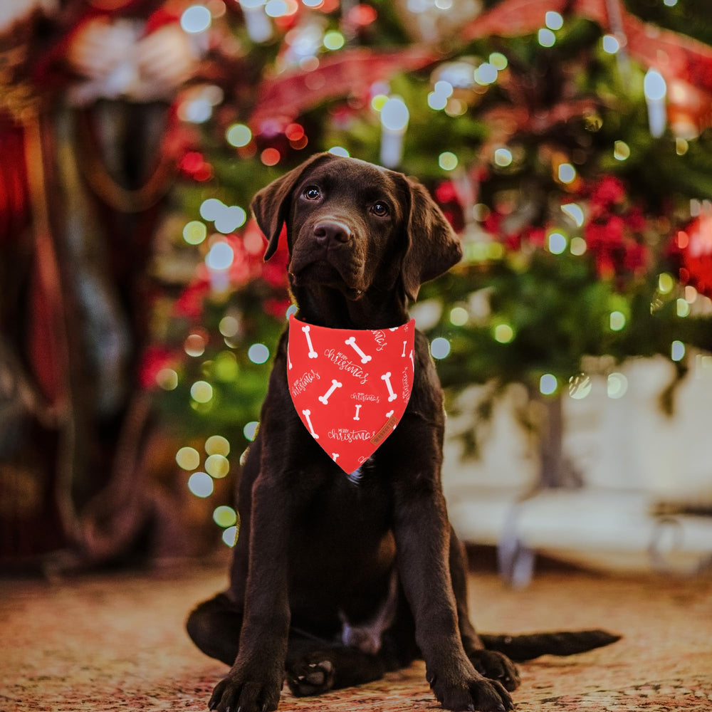 ADOGGYGO Christmas dog bandana green tree pattern boosts cute holiday style