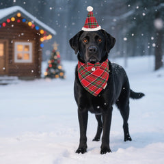 ADOGGYGO Christmas dog bow with jingle bell emphasizes adjustable fit and playful flair