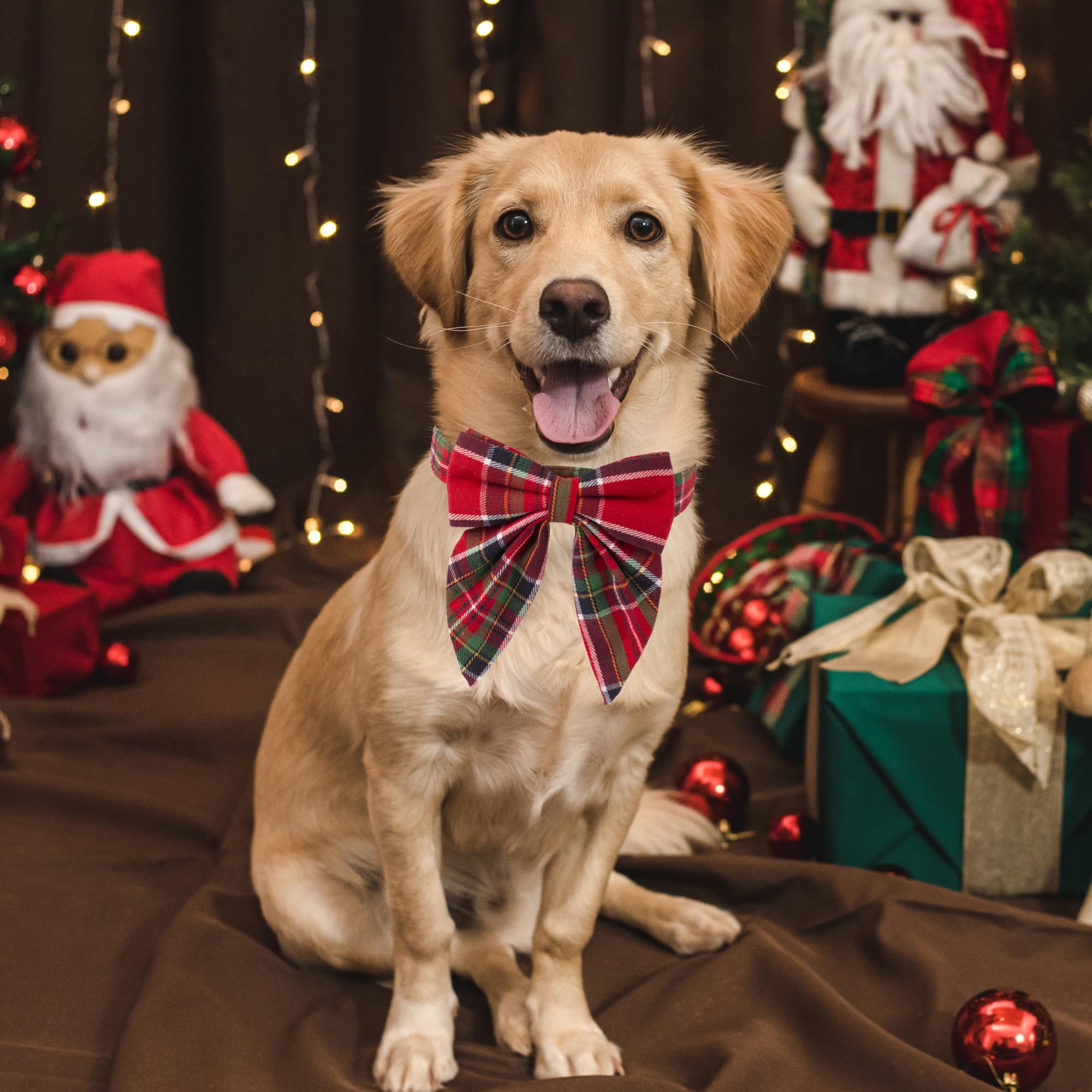 ADOGGYGO size medium Christmas collar offers versatile fit for medium dogs.