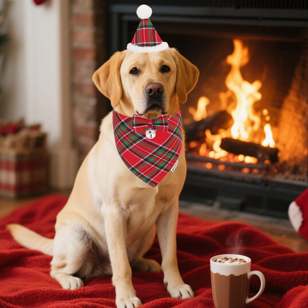 ADOGGYGO Christmas dog hat on demonstrates durable festive headwear for year-round use