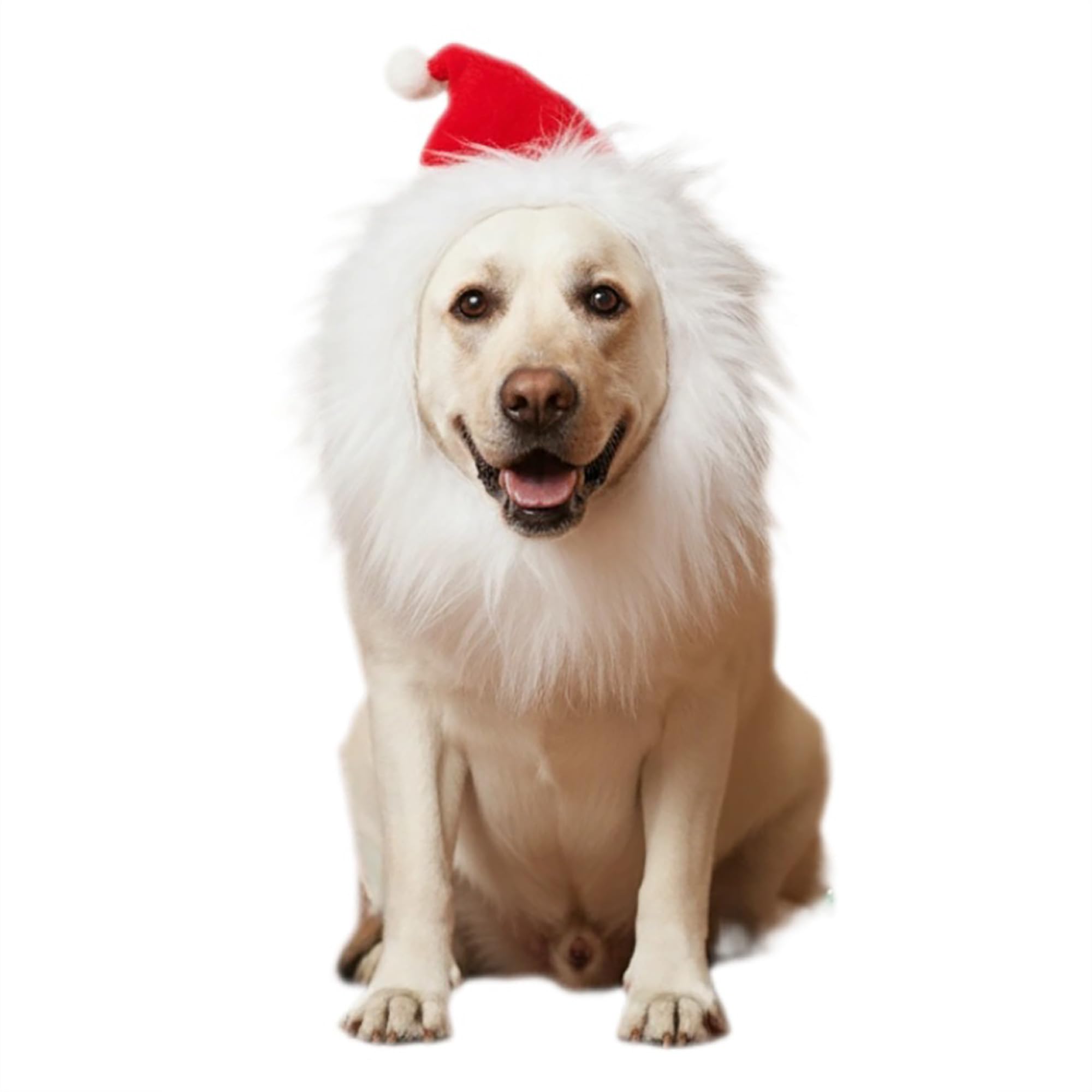 ADOGGYGO Christmas dog Santa costume with festive red hat and white beard for holiday photos.