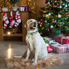 ADOGGYGO Christmas tree charm adds festive flair for holiday photo shoots.