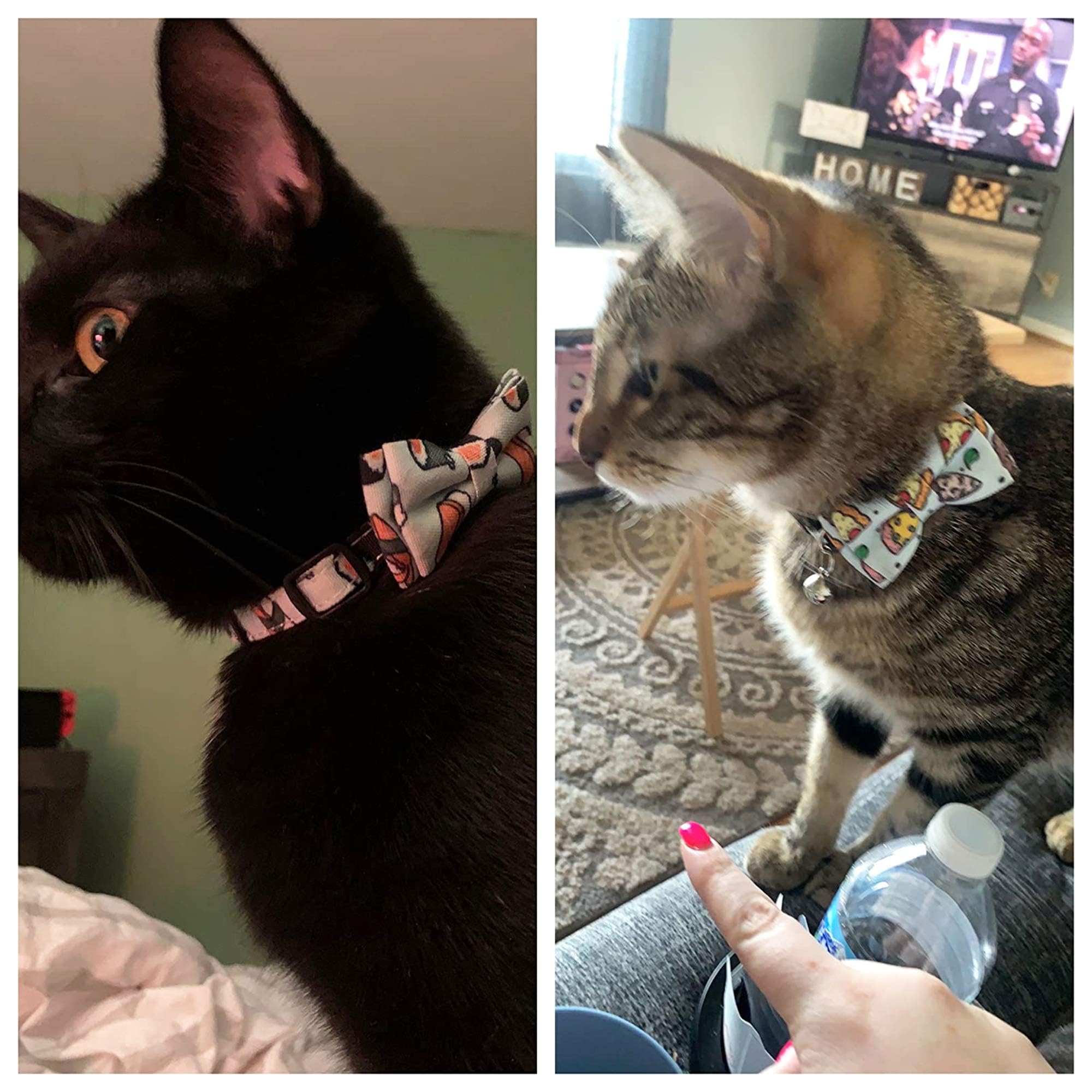 ADOGGYGO collar gato con campana melódica, encuentra a tu felino fácilmente