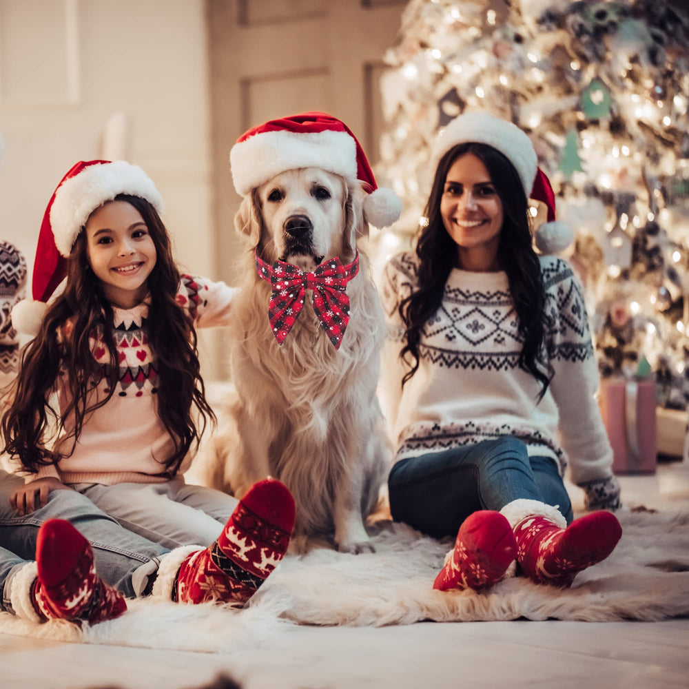 Lazo desmontable en collar navideño Adoggygo, estilo más elegante.