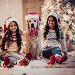 Lazo desmontable en collar navideño Adoggygo, estilo más elegante.