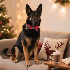 ADOGGYGO detachable bowtie detail adds chic holiday flair for pets.