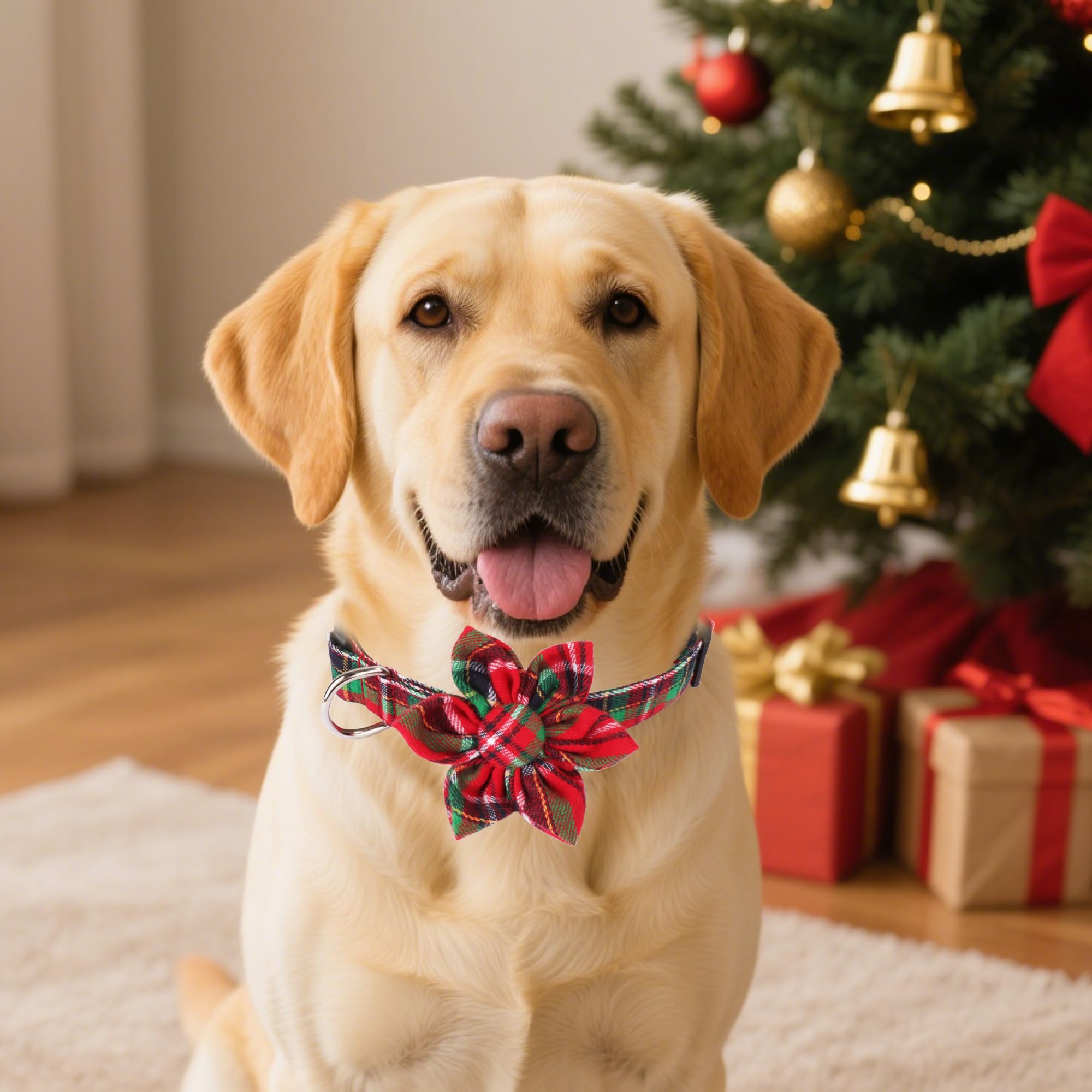 ADOGGYGO detachable floral collar close-up highlights elastic bands for easy on/off.