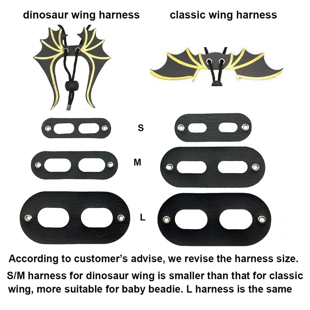 ADOGGYGO Dinosaur-wing design image, stylish beardie gear for curious outdoor adventures