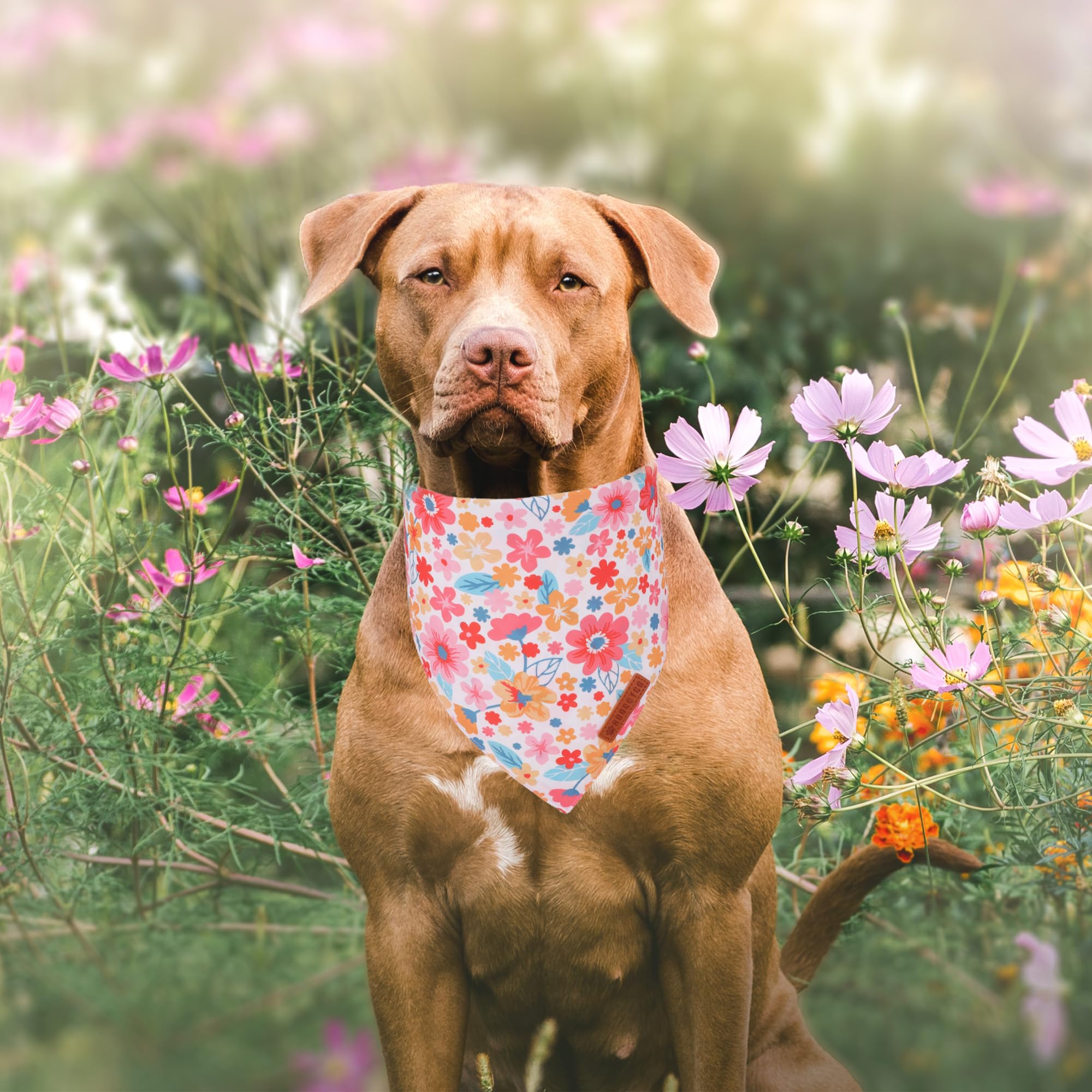ADOGGYGO adjustable-fit dog bandana for secure wear on large dogs.