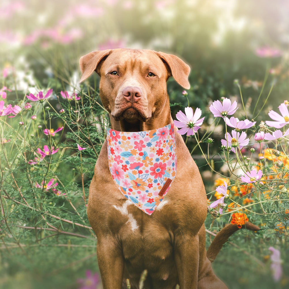 ADOGGYGO adjustable-fit dog bandana for secure wear on large dogs.