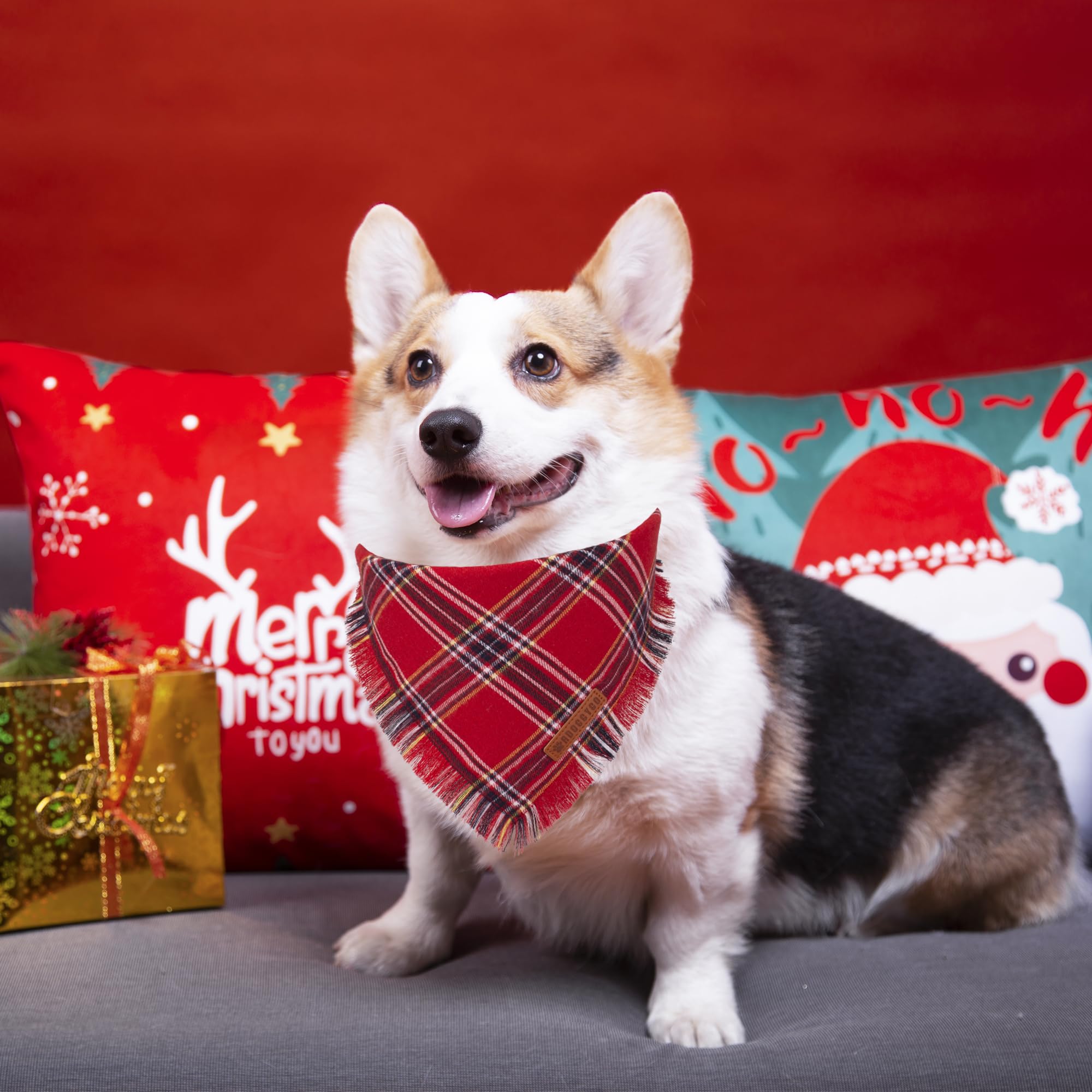 ADOGGYGO green plaid dog bandana on a medium-large dog for stylish seasonal wear.